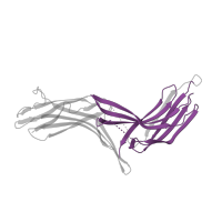 The deposited structure of PDB entry 4ll4 contains 2 copies of Pfam domain PF02752 (Arrestin (or S-antigen), C-terminal domain) in Thioredoxin-interacting protein. Showing 1 copy in chain C.