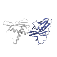 The deposited structure of PDB entry 4llg contains 4 copies of CATH domain 2.170.120.12 (RNA Polymerase Alpha Subunit; Chain A, domain 2) in DNA-directed RNA polymerase subunit alpha. Showing 1 copy in chain G.