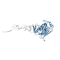 The deposited structure of PDB entry 4ln4 contains 6 copies of CATH domain 3.90.209.20 (Hemagglutinin (Ha1 Chain); Chain: A; domain 1) in Hemagglutinin. Showing 1 copy in chain A.