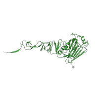 The deposited structure of PDB entry 4ln4 contains 6 copies of Pfam domain PF00509 (Haemagglutinin) in Hemagglutinin. Showing 1 copy in chain A.