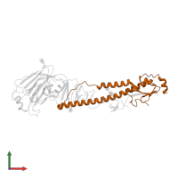 Hemagglutinin in PDB entry 4ln4, assembly 2, front view.
