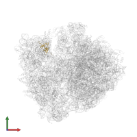 Small ribosomal subunit protein uS19 in PDB entry 4lnt, assembly 1, front view.