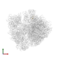 Large ribosomal subunit protein bL33 in PDB entry 4lnt, assembly 1, front view.