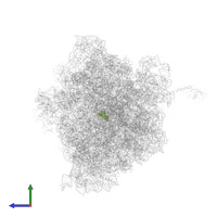 PAROMOMYCIN in PDB entry 4lnt, assembly 1, side view.