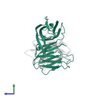 Hemagglutinin component HA-70 C-terminal domain-containing protein in PDB entry 4lo8, assembly 1, side view.