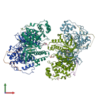 PDB entry 4lop coloured by chain, front view.