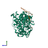 Hetero dimeric assembly 2 of PDB entry 4loq coloured by chemically distinct molecules, side view.