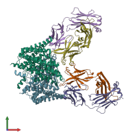 PDB entry 4lou coloured by chain, front view.