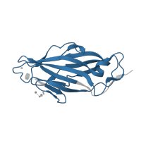 The deposited structure of PDB entry 4lov contains 1 copy of Pfam domain PF09160 (FimH, mannose binding) in Type 1 fimbrin D-mannose specific adhesin. Showing 1 copy in chain A.