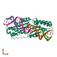 PDB entry 4lox coloured by chain, front view.