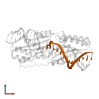 DNA (5'-D(*CP*GP*TP*AP*CP*AP*CP*CP*TP*GP*AP*TP*AP*A)-3') in PDB entry 4lox, assembly 1, front view.