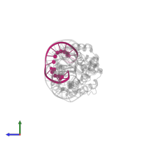 DNA (5'-D(*GP*GP*TP*AP*TP*CP*CP*TP*CP*CP*AP*TP*TP*AP*T)-3') in PDB entry 4lox, assembly 1, side view.