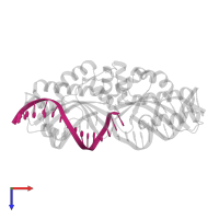 DNA (5'-D(*GP*GP*TP*AP*TP*CP*CP*TP*CP*CP*AP*TP*TP*AP*T)-3') in PDB entry 4lox, assembly 1, top view.