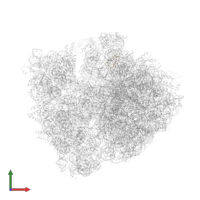 Large ribosomal subunit protein bL33 in PDB entry 4lsk, assembly 1, front view.