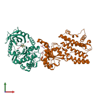 Hetero dimeric assembly 1 of PDB entry 4lv8 coloured by chemically distinct molecules, front view.