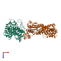 Hetero dimeric assembly 1 of PDB entry 4lv8 coloured by chemically distinct molecules, top view.