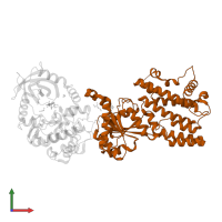 Interferon-inducible GTPase 1 in PDB entry 4lv8, assembly 1, front view.