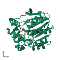 PDB entry 4lxi coloured by chain, front view.