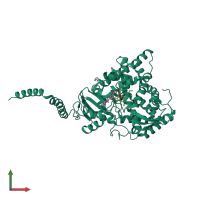 PDB entry 4lxj coloured by chain, front view.