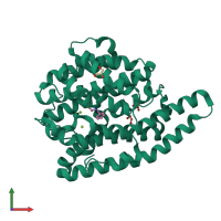 PDB entry 4lxw coloured by chain, front view.