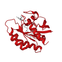 The deposited structure of PDB entry 4lyj contains 1 copy of CATH domain 3.40.50.300 (Rossmann fold) in GTPase KRas, N-terminally processed. Showing 1 copy in chain A.