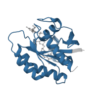 The deposited structure of PDB entry 4lyj contains 1 copy of Pfam domain PF00071 (Ras family) in GTPase KRas, N-terminally processed. Showing 1 copy in chain A.