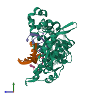 PDB entry 4lzg coloured by chain, side view.