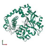 DNA-directed DNA/RNA polymerase mu in PDB entry 4m0a, assembly 1, front view.