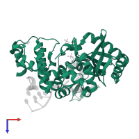 DNA-directed DNA/RNA polymerase mu in PDB entry 4m0a, assembly 1, top view.