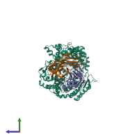 Hetero tetrameric assembly 2 of PDB entry 4m1c coloured by chemically distinct molecules, side view.