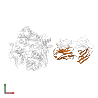 Fab-bound IDE, heavy chain in PDB entry 4m1c, assembly 1, front view.