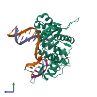 PDB entry 4m2y coloured by chain, side view.