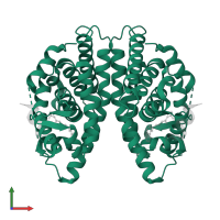 Retinoic acid receptor RXR-alpha in PDB entry 4m8h, assembly 1, front view.