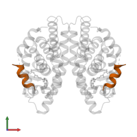 Nuclear receptor coactivator 2 in PDB entry 4m8h, assembly 1, front view.