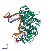 PDB entry 4m9g coloured by chain, side view.
