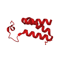 The deposited structure of PDB entry 4mal contains 2 copies of CATH domain 1.20.58.2200 (Methane Monooxygenase Hydroxylase; Chain G, domain 1) in Motility hub protein FimV. Showing 1 copy in chain B.