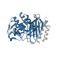 The deposited structure of PDB entry 4mbh contains 1 copy of Pfam domain PF13354 (Beta-lactamase enzyme family) in Beta-lactamase SHV-1. Showing 1 copy in chain A.