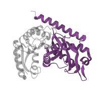 The deposited structure of PDB entry 4mdh contains 2 copies of Pfam domain PF02866 (lactate/malate dehydrogenase, alpha/beta C-terminal domain) in Malate dehydrogenase, cytoplasmic. Showing 1 copy in chain A.