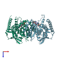 PDB entry 4mdh coloured by chain, top view.
