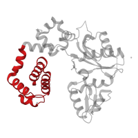 The deposited structure of PDB entry 4mfa contains 1 copy of CATH domain 1.10.150.110 (DNA polymerase; domain 1) in DNA polymerase beta. Showing 1 copy in chain A.