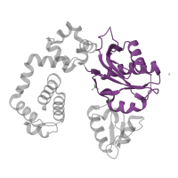 The deposited structure of PDB entry 4mfa contains 1 copy of CATH domain 3.30.460.10 (Beta Polymerase; domain 2) in DNA polymerase beta. Showing 1 copy in chain A.