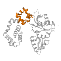 The deposited structure of PDB entry 4mfa contains 1 copy of Pfam domain PF10391 (Fingers domain of DNA polymerase lambda) in DNA polymerase beta. Showing 1 copy in chain A.
