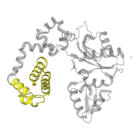 The deposited structure of PDB entry 4mfa contains 1 copy of Pfam domain PF14716 (Helix-hairpin-helix domain) in DNA polymerase beta. Showing 1 copy in chain A.
