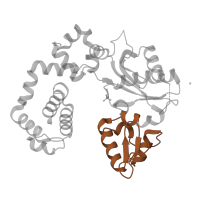 The deposited structure of PDB entry 4mfa contains 1 copy of Pfam domain PF14791 (DNA polymerase beta thumb ) in DNA polymerase beta. Showing 1 copy in chain A.