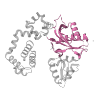 The deposited structure of PDB entry 4mfa contains 1 copy of Pfam domain PF14792 (DNA polymerase beta palm ) in DNA polymerase beta. Showing 1 copy in chain A.