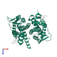 Estrogen receptor in PDB entry 4mg5, assembly 1, top view.
