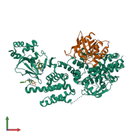 PDB entry 4mgz coloured by chain, front view.