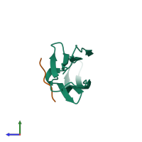 Hetero dimeric assembly 2 of PDB entry 4mjh coloured by chemically distinct molecules, side view.