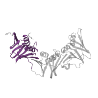 The deposited structure of PDB entry 4mjq contains 2 copies of Pfam domain PF00712 (DNA polymerase III beta subunit, N-terminal domain) in Beta sliding clamp. Showing 1 copy in chain B.