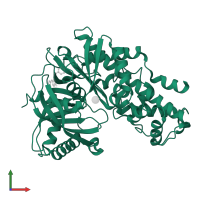 Hexokinase-4 in PDB entry 4mlh, assembly 1, front view.